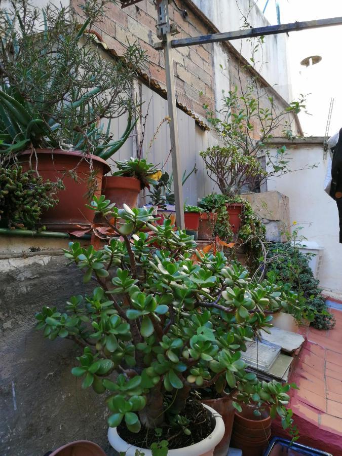 Pension Bertolin برشلونة المظهر الخارجي الصورة
